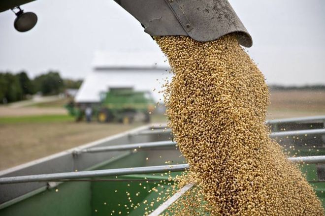 沙停火协议8月抵美留学生人数下降五分之一！大乱！黄金首次突破四千美元！哈马斯已同意加(图4)
